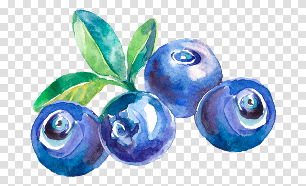 Fruta Custom Blueberry Wine Labels, Plant, Fruit, Food, Snowman Transparent Png