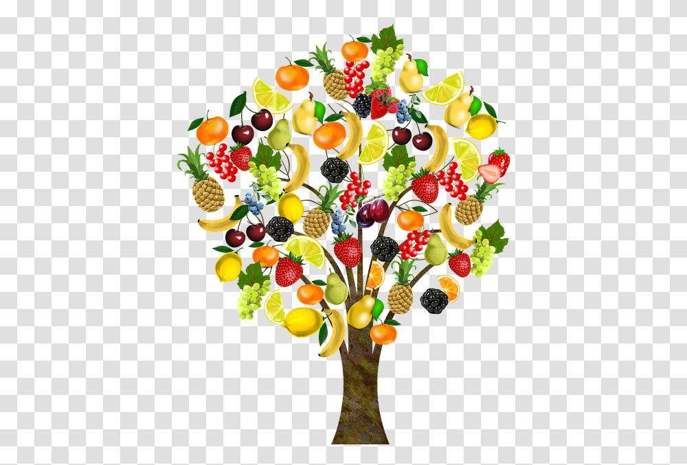 Frutas De Rboles Frutales Salud Vitaminas Cerezas Fruit Tree Background, Plant, Food, Strawberry, Citrus Fruit Transparent Png