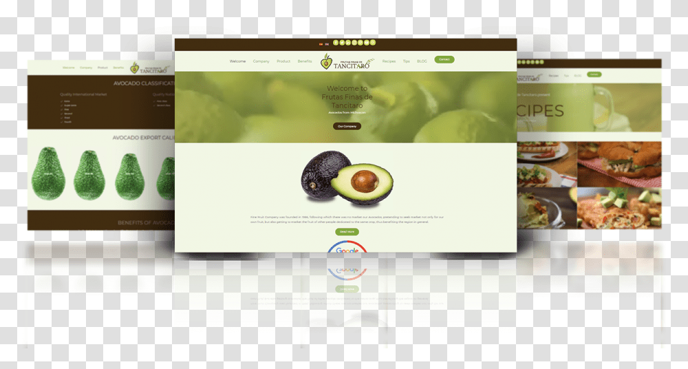 Frutas Finas De Tancitaro Olive, Plant, Fruit, Food, Avocado Transparent Png