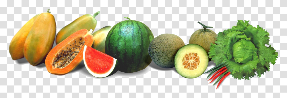 Frutas, Melon, Fruit, Plant, Food Transparent Png