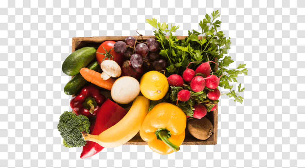 Frutas Y Verduras Alimentacion Saludable, Plant, Vegetable, Food, Radish Transparent Png