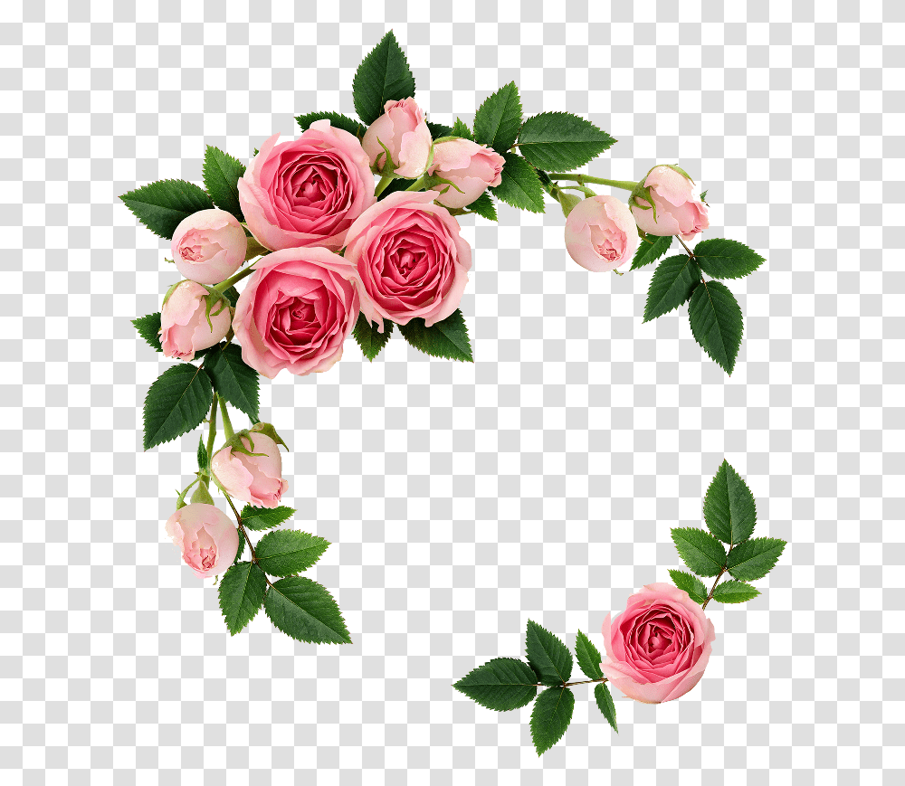 Fte Flowers Picsart Frame You Help Others Allah Will Help You, Rose, Plant, Blossom, Petal Transparent Png