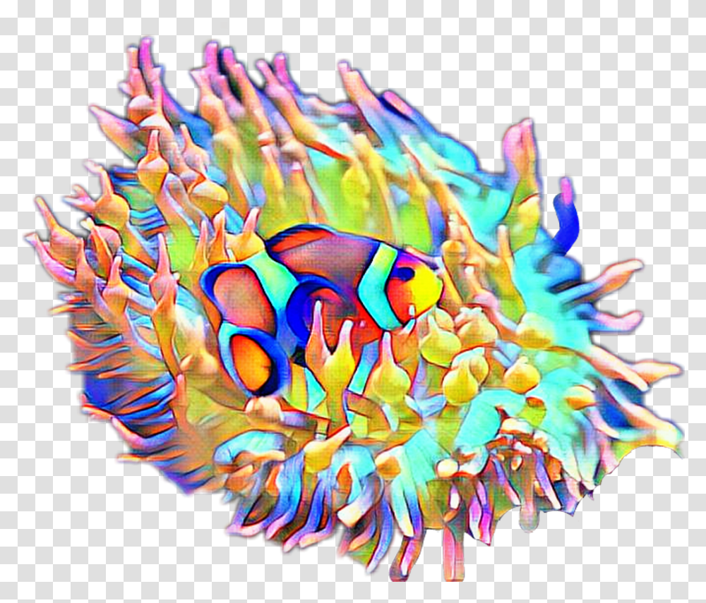 Fteseacreatures Anemone Clownfish Fish Artistic, Amphiprion, Sea Life, Animal, Water Transparent Png