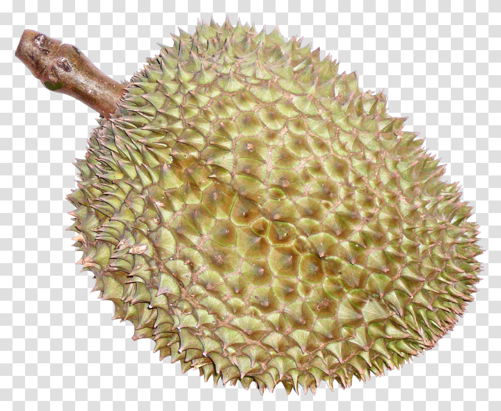 Ftesticker Fruit Durian Thaifruits Food Thailand Durian, Produce, Plant Transparent Png