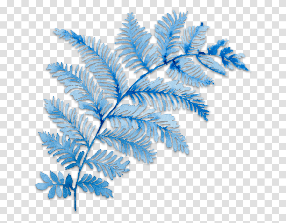 Ftestickers Art Watercolor Floral Branch Blue Blue Fern Leaf, Pattern, Bird, Animal Transparent Png