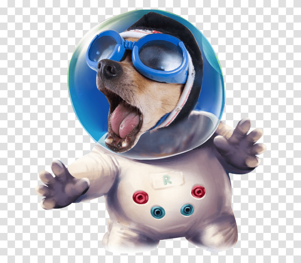 Ftestickers Astronaut Space Funny Dog Freetoedit Funny Hd Image Download, Sunglasses, Accessories, Accessory, Person Transparent Png