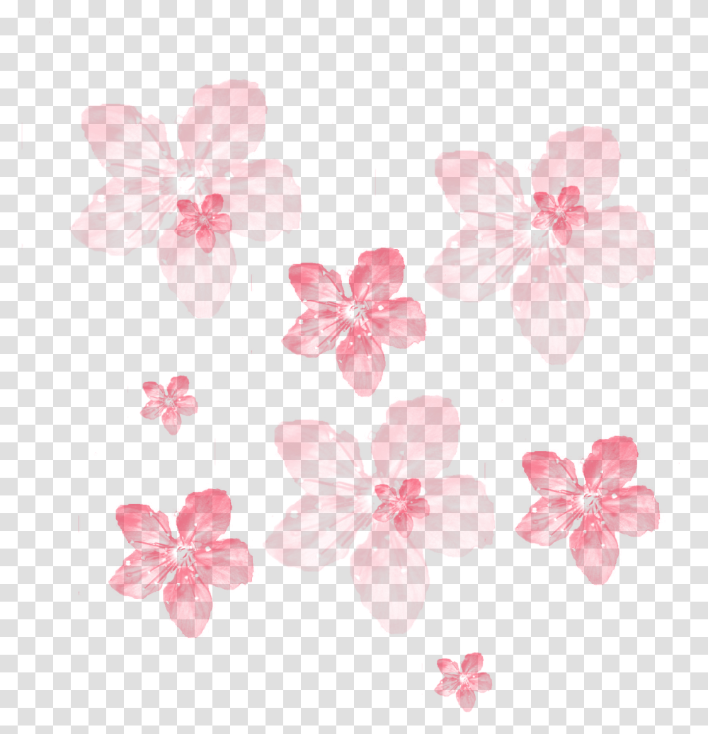 Ftestickers Background Overlay Flowers Japanese Cherry Blossom, Petal, Plant, Leaf, Poster Transparent Png