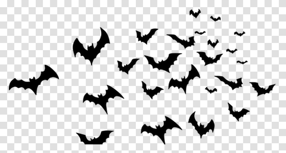 Ftestickers Bat Silhouette Bats Halloween Halloween Bats Transparent Png