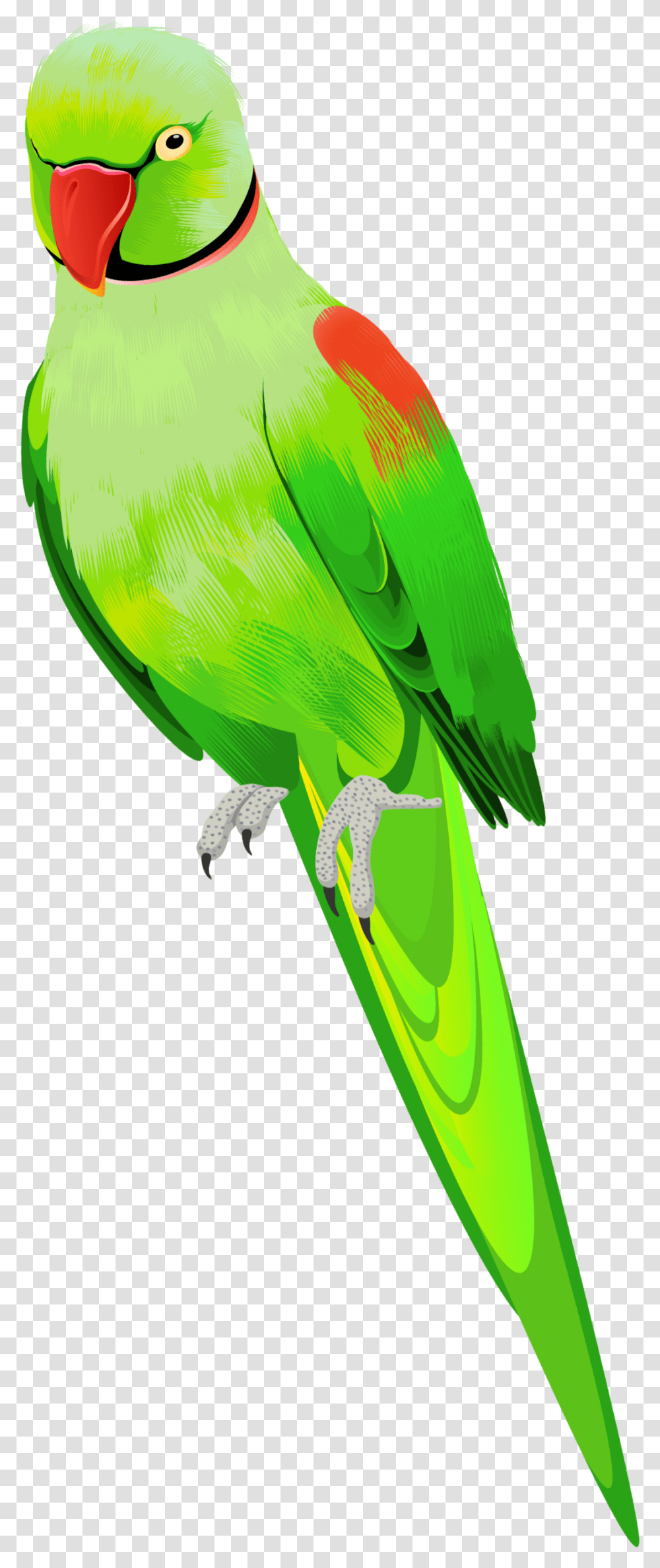 Ftestickers Bird Parrot Green, Animal, Parakeet Transparent Png