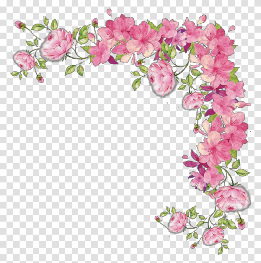 Ftestickers Border Corner Vine Roses Pink Pink Flower Border, Plant, Blossom, Petal, Geranium Transparent Png