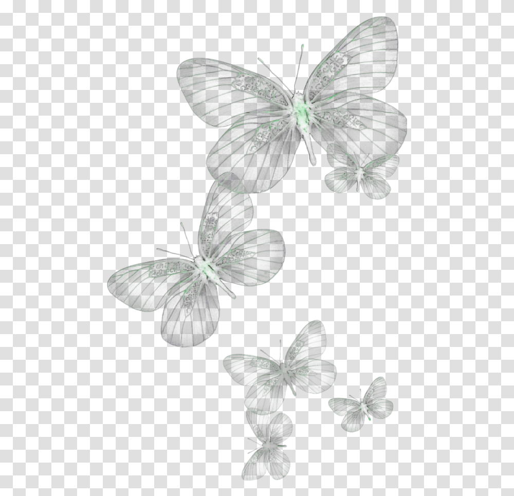 Ftestickers Butterflies Glow Green Background Butterfly, Leaf, Plant, Annonaceae, Tree Transparent Png