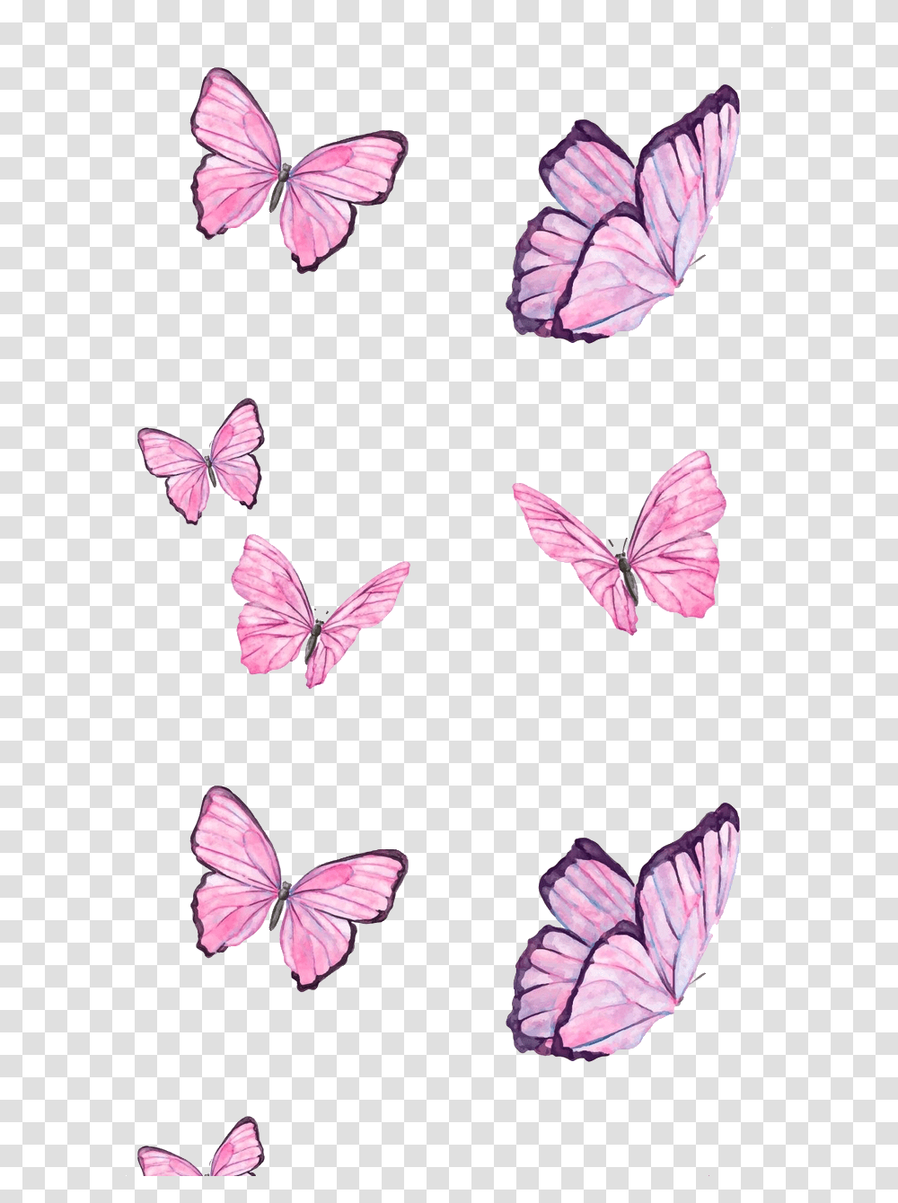 Ftestickers Butterflies Pink Nature Cute Papel De Parede Com Borboletas, Petal, Flower, Plant, Blossom Transparent Png