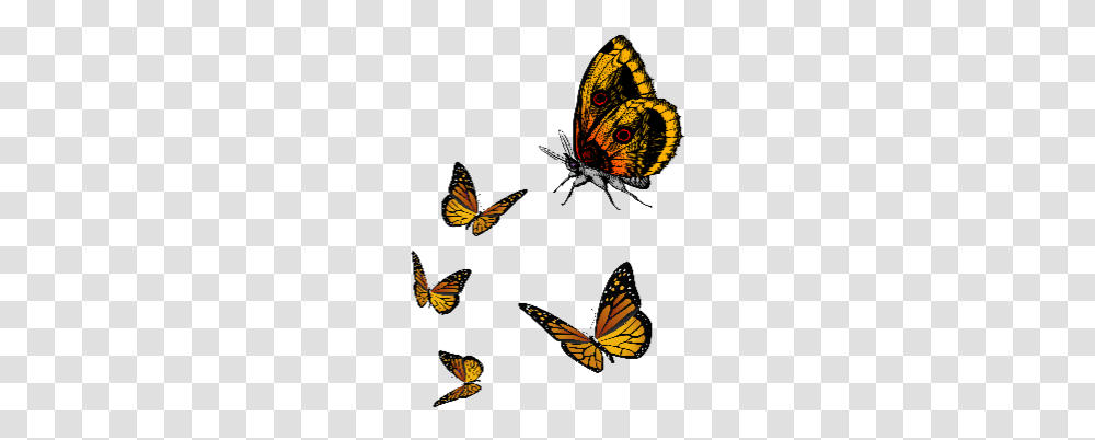 Ftestickers Butterfly Cute Fly Yellow Unique Cartoon Cute Butterfly, Monarch, Insect Transparent Png