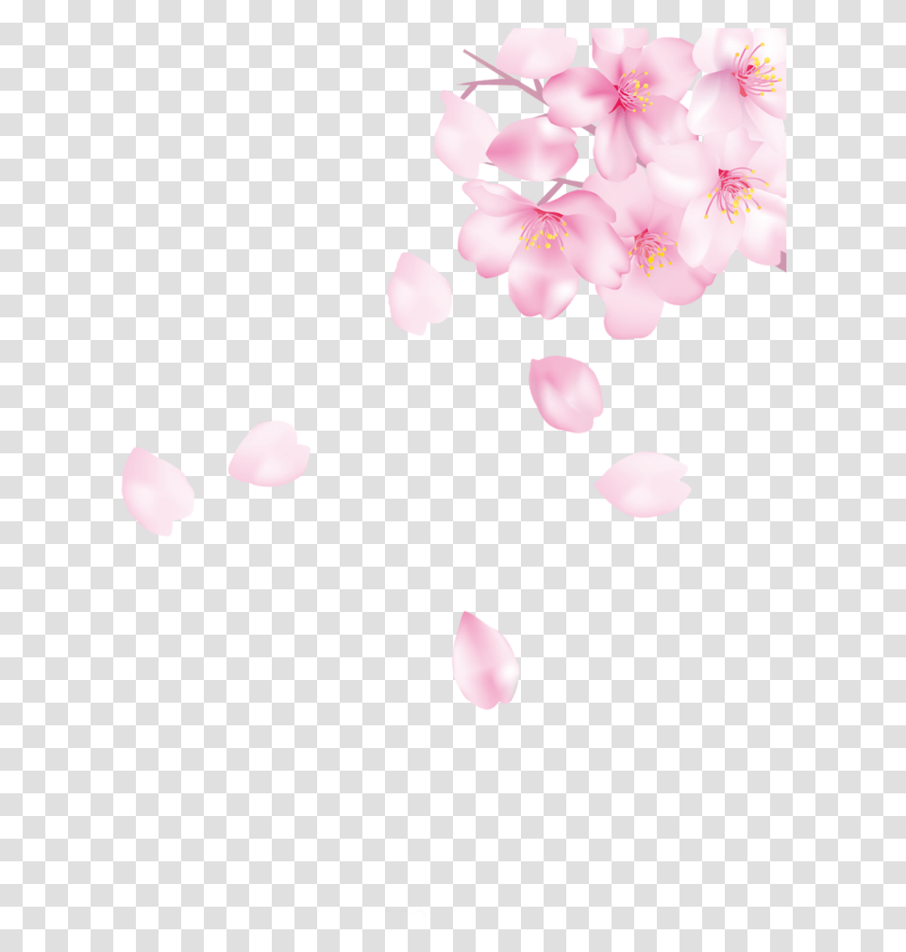 Ftestickers Cherryblossoms Petals Falling Floating Cherry Blossom, Plant, Flower, Moon, Outer Space Transparent Png