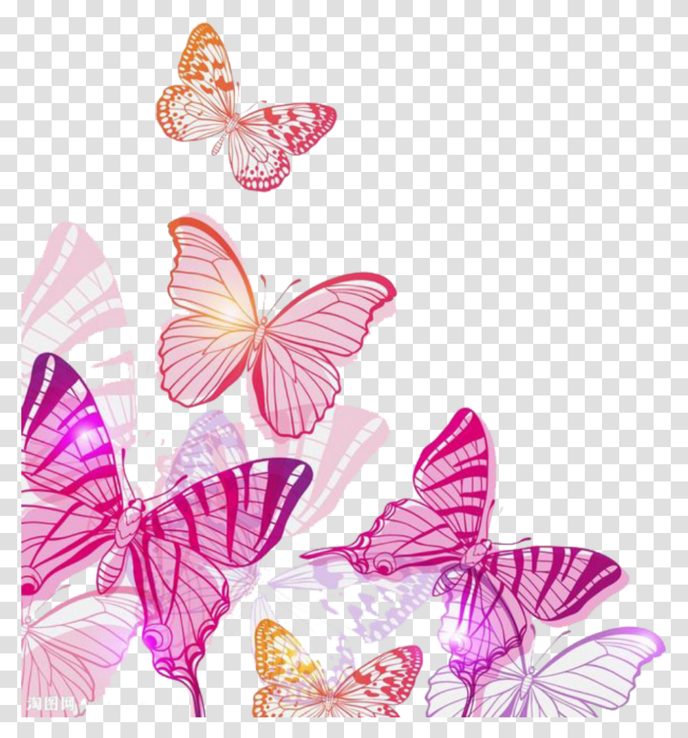 Ftestickers Clipart Pink Butterfly, Plant, Flower, Blossom, Floral Design Transparent Png