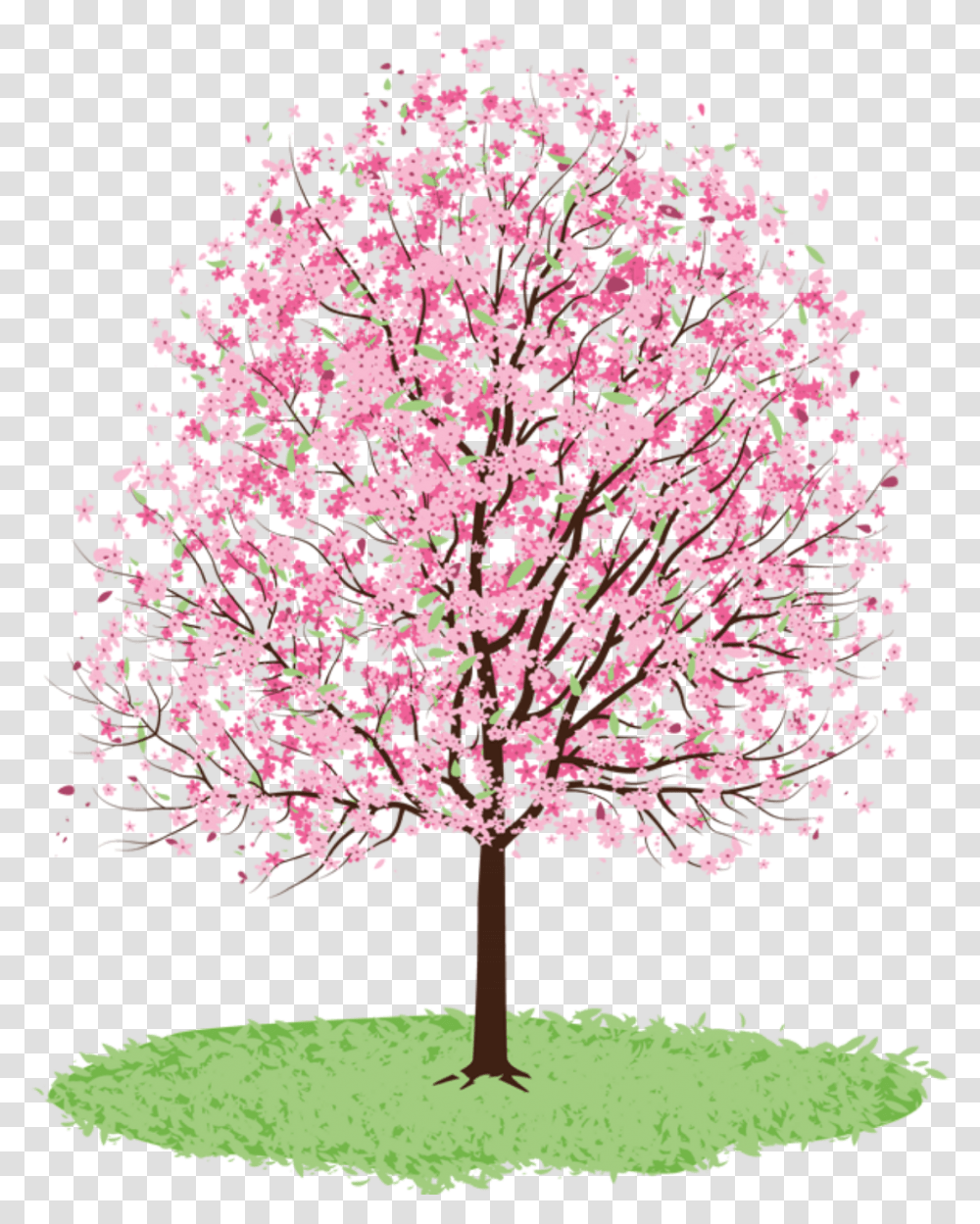 Ftestickers Clipart Watercolor Illustration Cherrybloss Clip Art Spring Tree, Plant, Flower, Blossom, Cherry Blossom Transparent Png