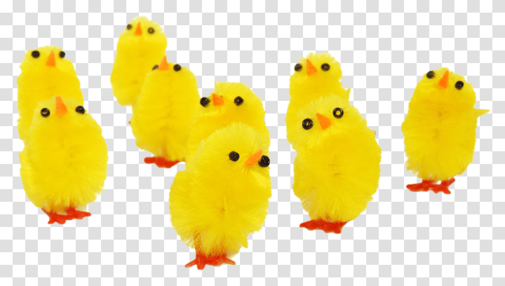 Ftestickers Easter Chicks Cute Yellow Easter Chickens, Peeps, Bird, Animal, Poultry Transparent Png
