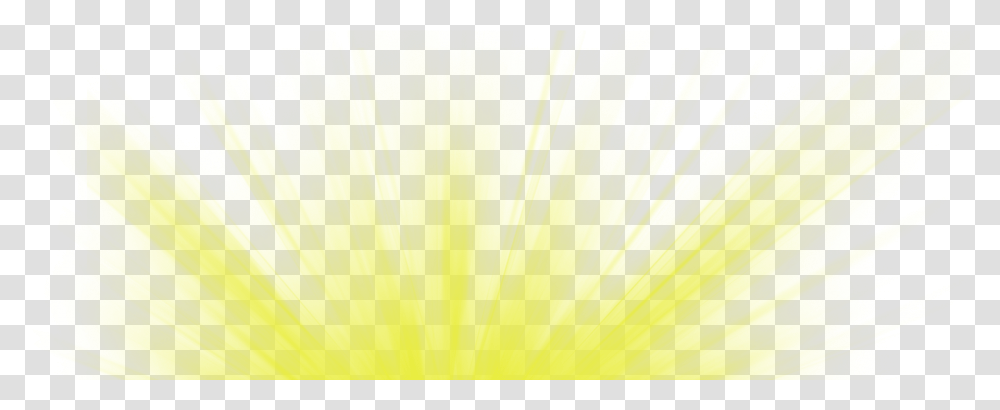 Ftestickers Effect Light Glow Yellow Grass, Green, Plant Transparent Png