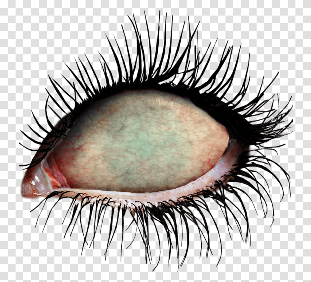 Ftestickers Eye Eyes Zombie Zombieeyes Undead Zombie Eyes, Contact Lens, Person Transparent Png