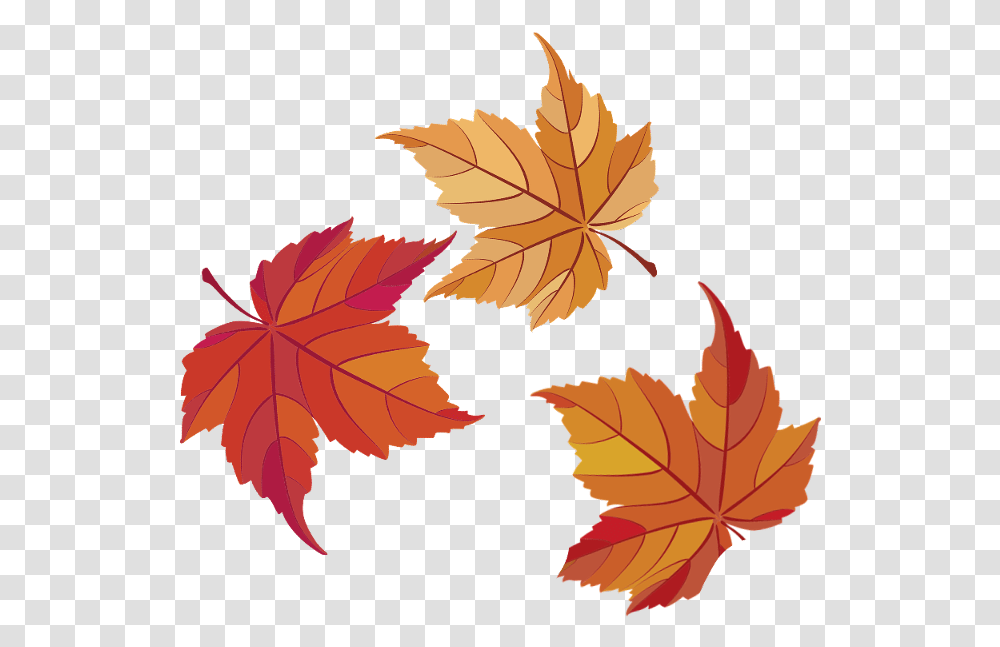 Ftestickers Fall Autumn Leaf Leaves Freetoedit Maple Leaf, Plant, Tree Transparent Png