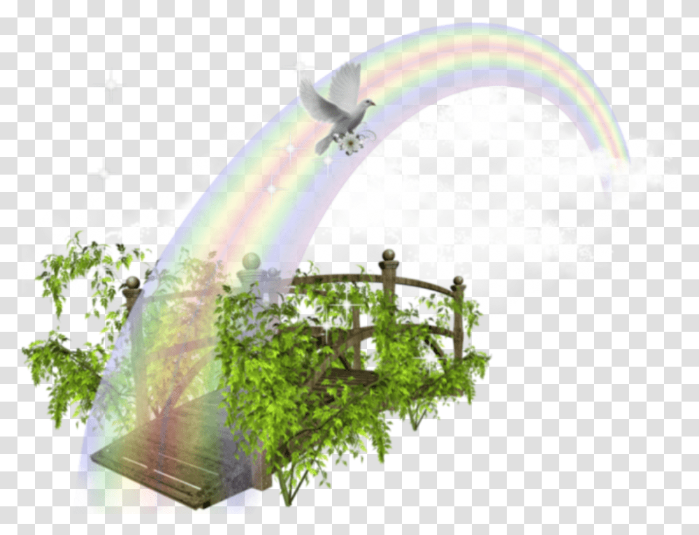 Ftestickers Fantasyart Bridge Rainbow Rainbowbridge Dcors, Outdoors, Bird, Vegetation, Plant Transparent Png