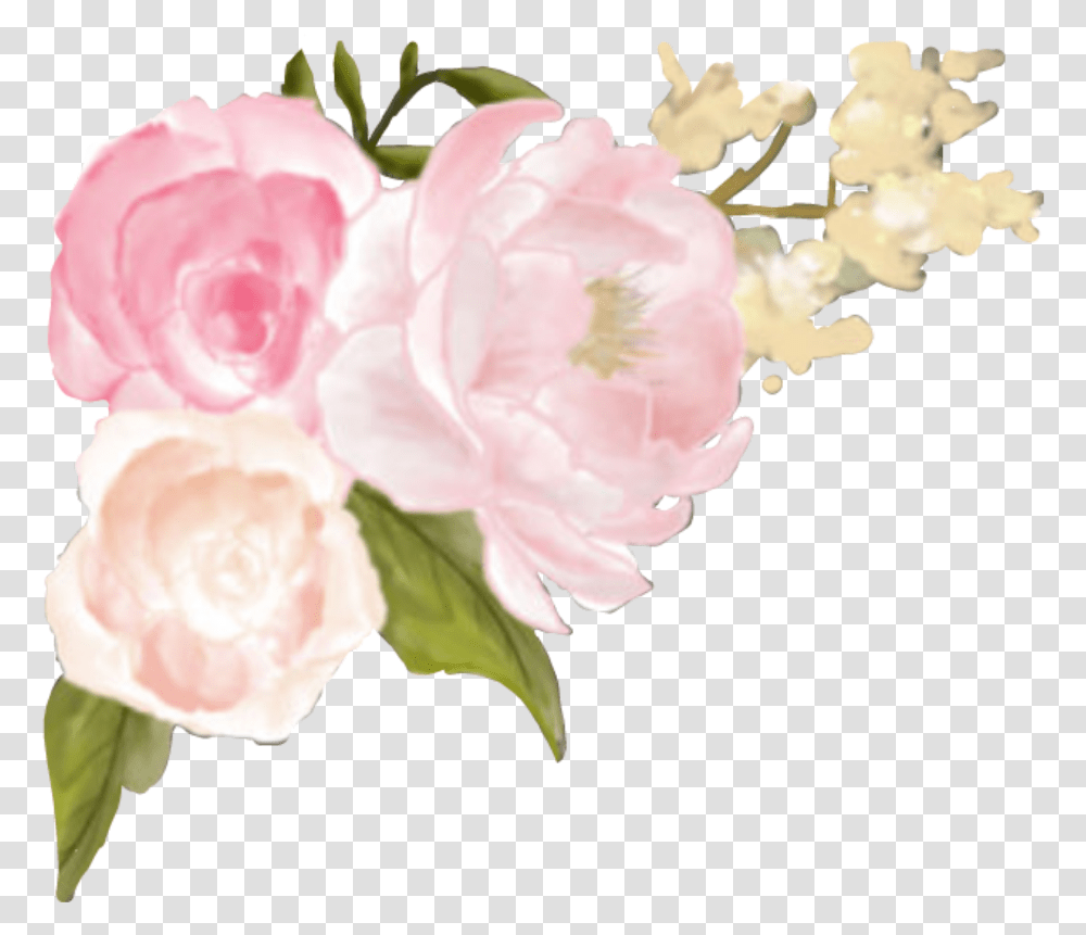 Ftestickers Floral Flowers Edge Corner Roses Garden Roses, Plant, Blossom, Peony, Petal Transparent Png