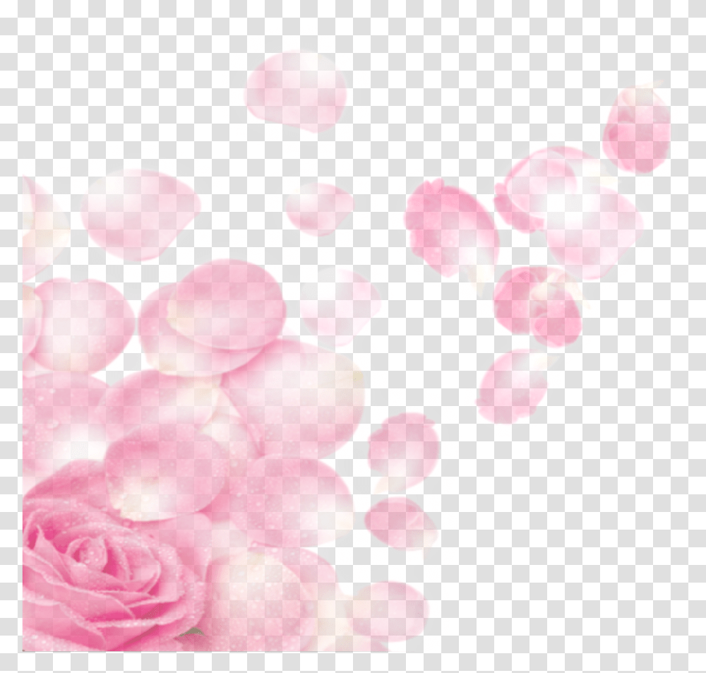 Ftestickers Flower Petals Rose Pink Rose Petals, Plant, Blossom, Sweets, Food Transparent Png