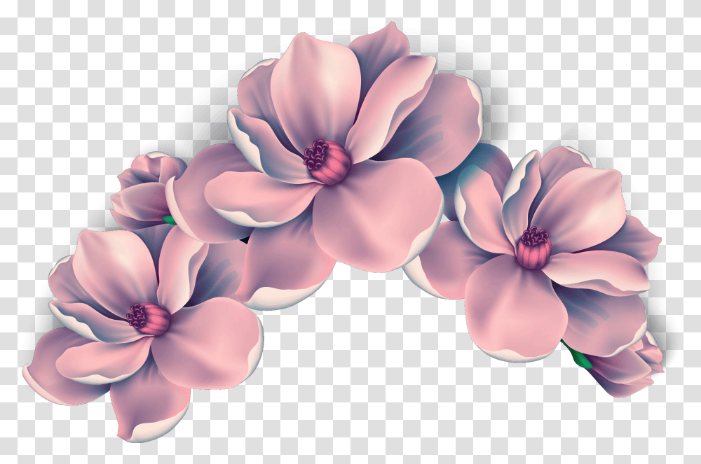 Ftestickers Flowers Flowercrown Freetoedit Pink Flower Clipart, Plant, Petal, Blossom, Dahlia Transparent Png