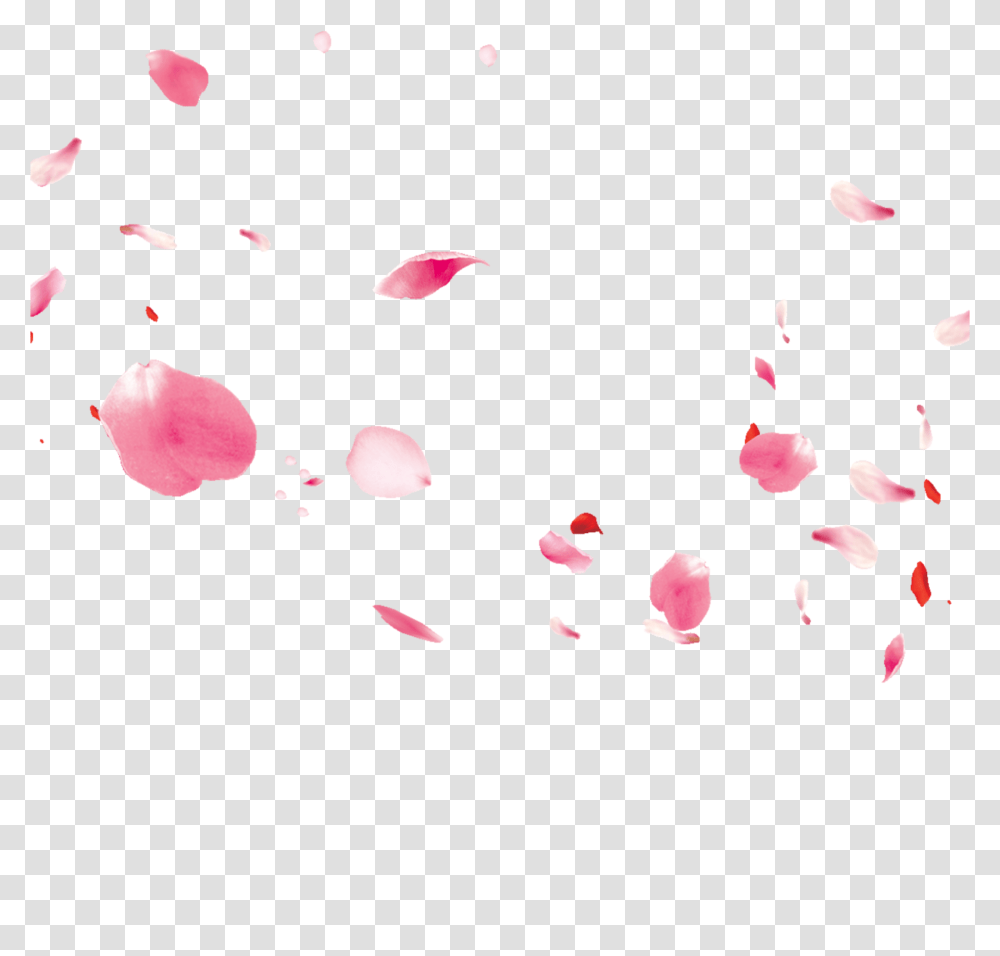 Ftestickers Flowers Petals Falling Floating Pink Illustration, Plant, Blossom, Paper, Confetti Transparent Png