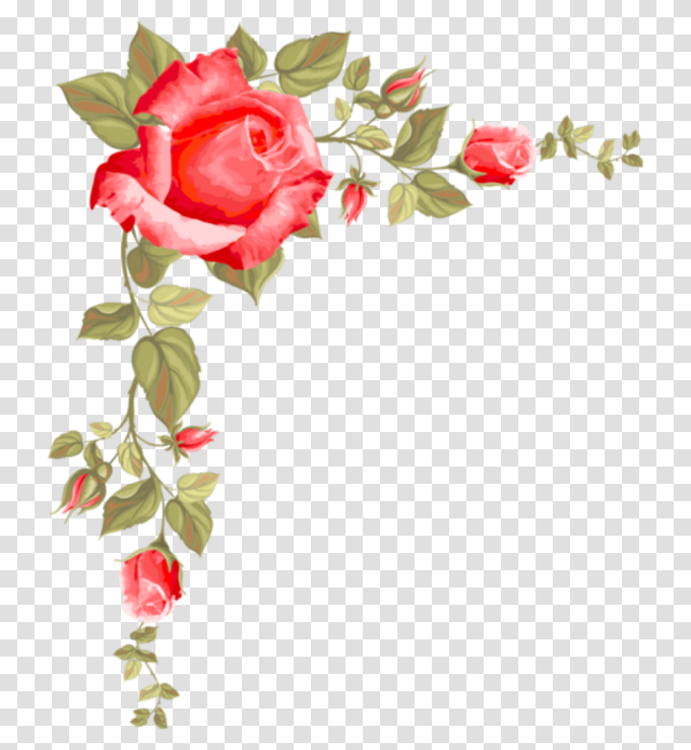 Ftestickers Flowers Roses Border Corner Pink Rose Borders Clip Art, Plant, Blossom, Floral Design, Pattern Transparent Png