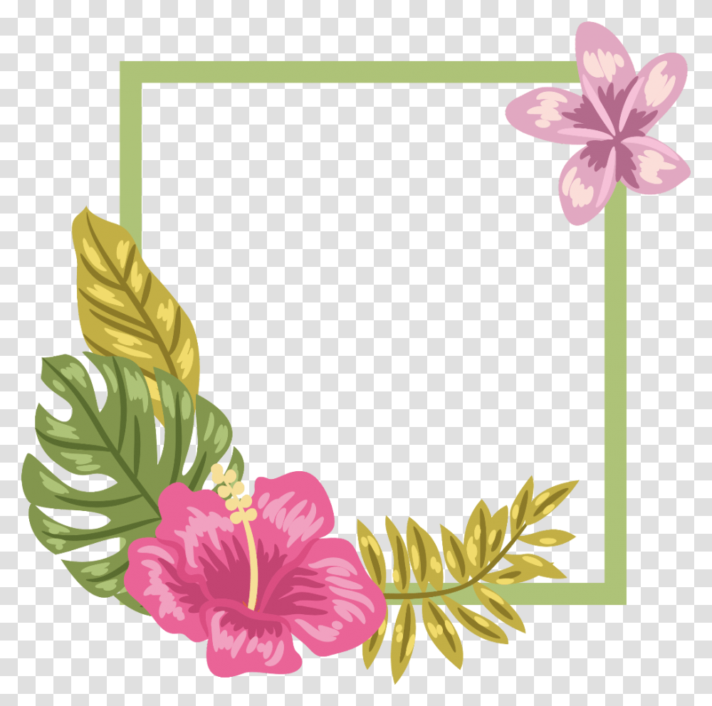 Ftestickers Flowers Tropical Frame Borders Colorful Hibiscus Background, Plant, Blossom, Petal, Anther Transparent Png