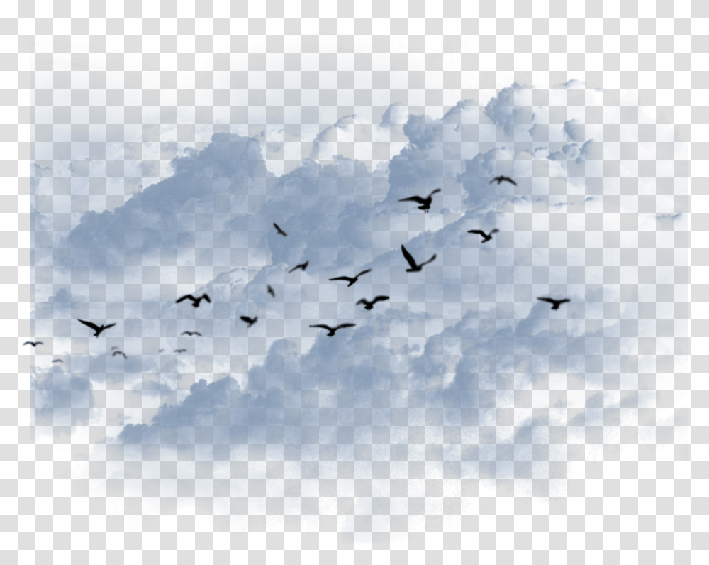 Ftestickers Freetoedit Bird Migration, Flock, Animal, Flying Transparent Png