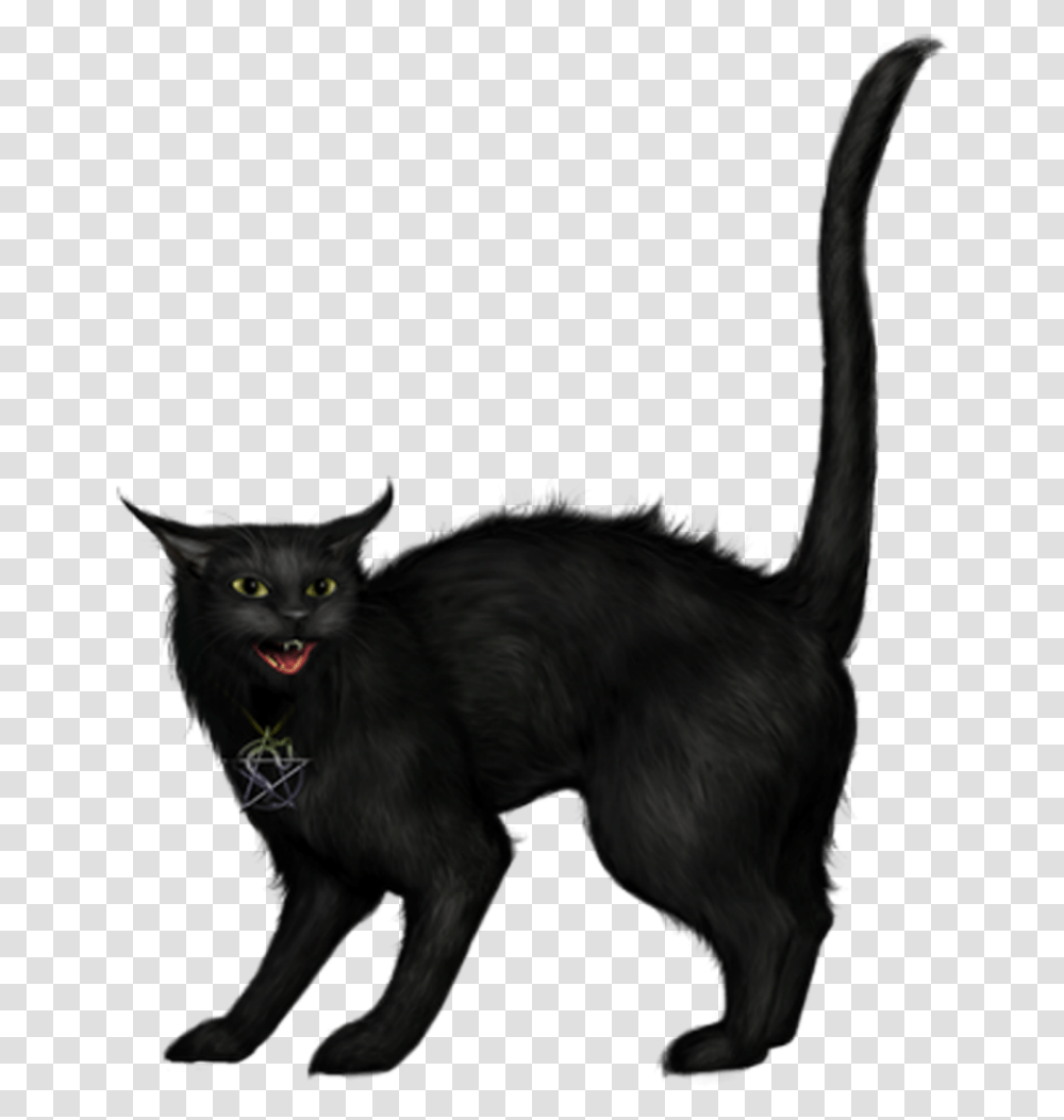 Ftestickers Halloween Cat Blackcat Creepy Black Cat Witch, Pet, Mammal, Animal, Dog Transparent Png