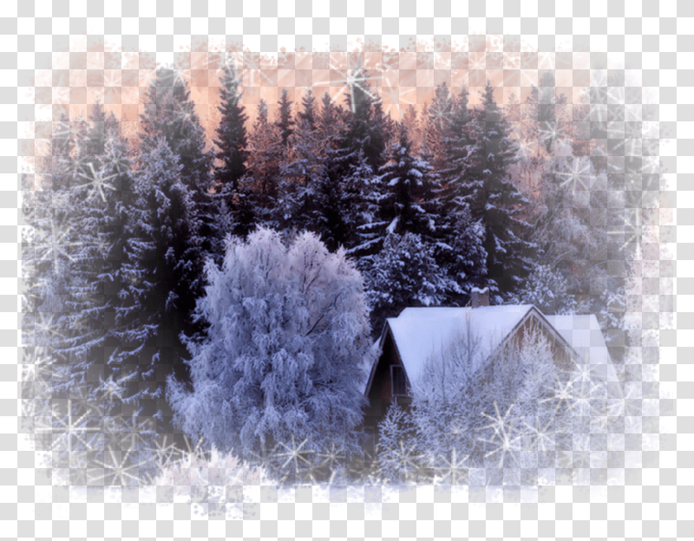 Ftestickers House Trees Winter Snow Scenery Wallpaper, Plant, Fir, Abies, Pine Transparent Png