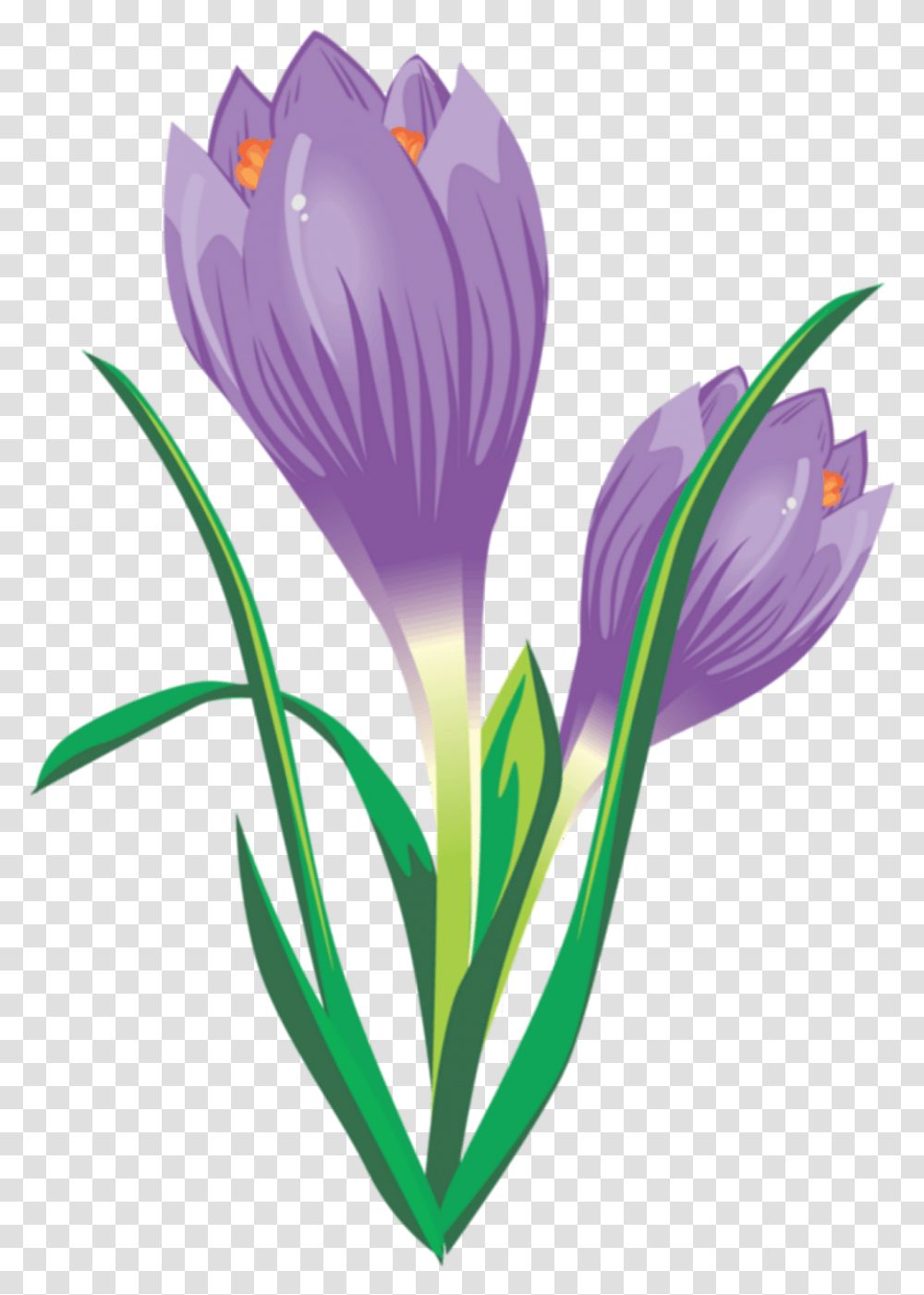 Ftestickers Illustration Flower Crocus Purple Spring Crocus, Plant, Blossom, Flax, Petal Transparent Png