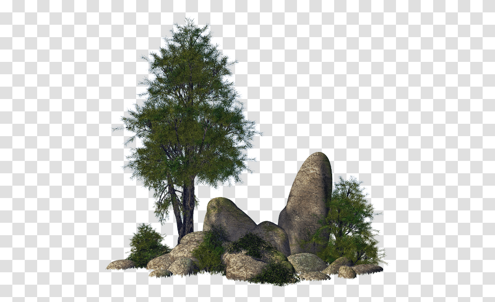 Ftestickers Landscape Trees Rocks Stones Stone Rock, Plant, Conifer, Fir, Outdoors Transparent Png