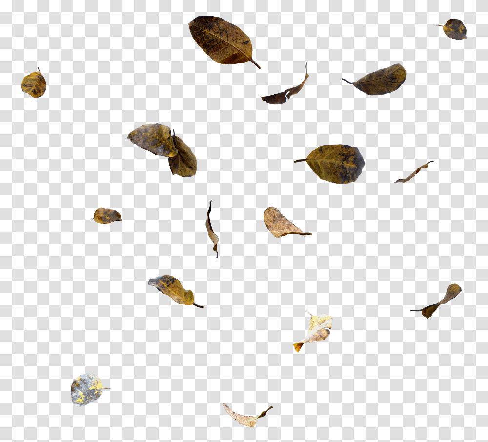 Ftestickers Leaves Falling Fallingleaves Fall Moths And Butterflies, Bird, Animal, Fish, Flying Transparent Png