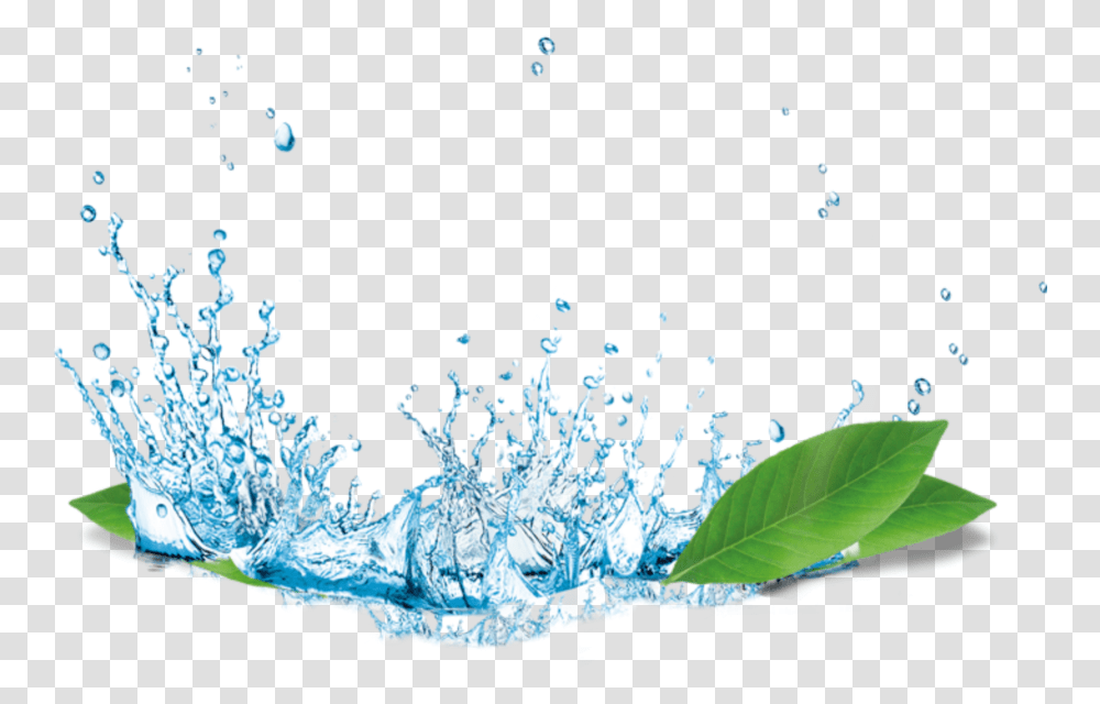 Ftestickers Leaves Raindrops Water Splash Splash Water Hd, Plant, Ice, Outdoors, Nature Transparent Png