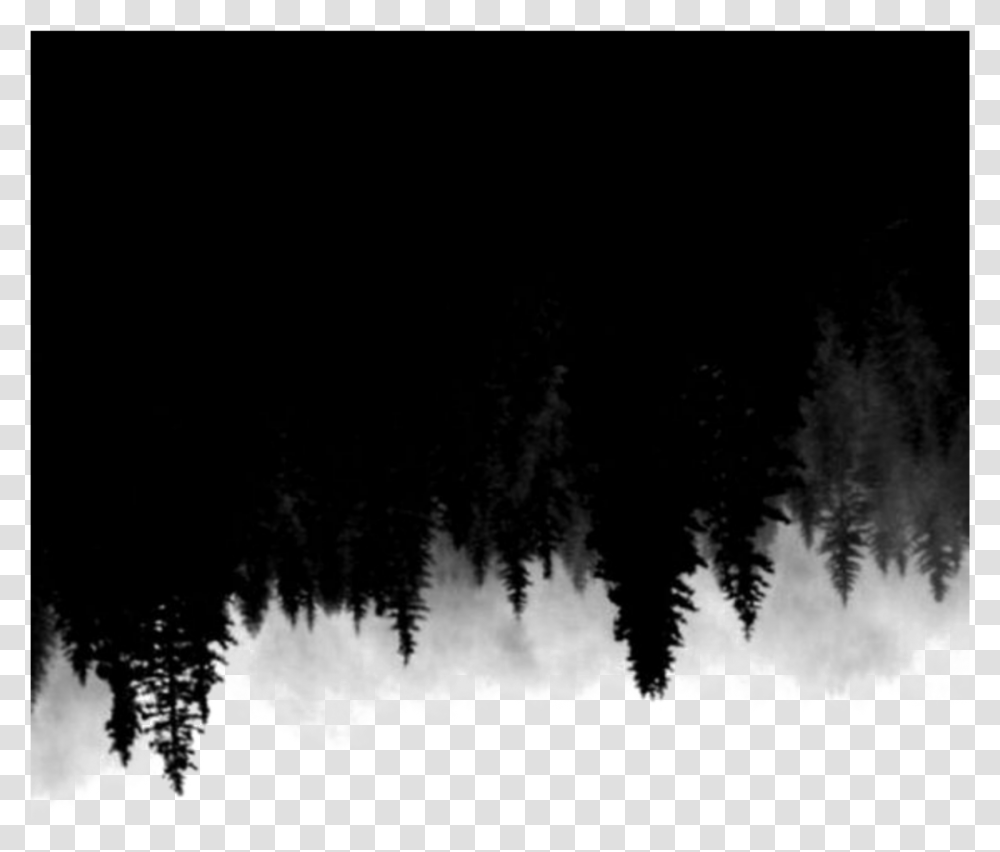 Ftestickers Trees Forest Silhouette Upsidedown, Plant, Fir, Abies, Conifer Transparent Png