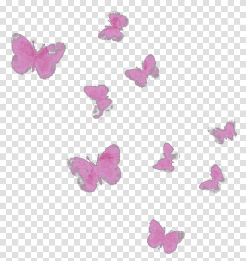 Ftestickers Watercolor Butterflies Pink Pieridae, Petal, Flower, Plant, Blossom Transparent Png