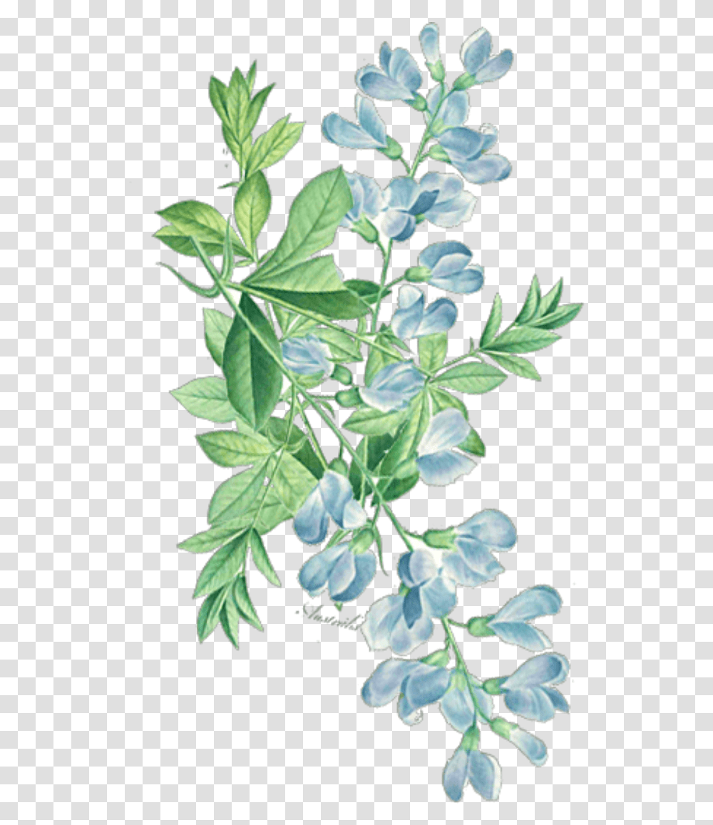 Ftestickers Watercolor Floral Leaves Watercolor Purple Flowers Background, Leaf, Plant, Acanthaceae, Blossom Transparent Png