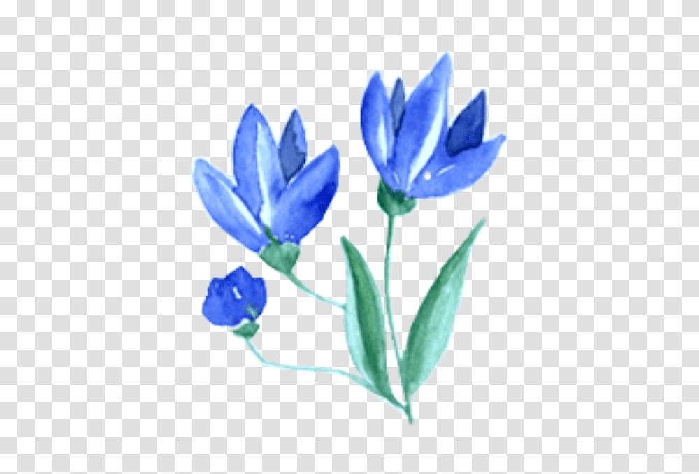 Ftestickers Watercolor Flowers Blue, Plant, Blossom, Petal, Iris Transparent Png