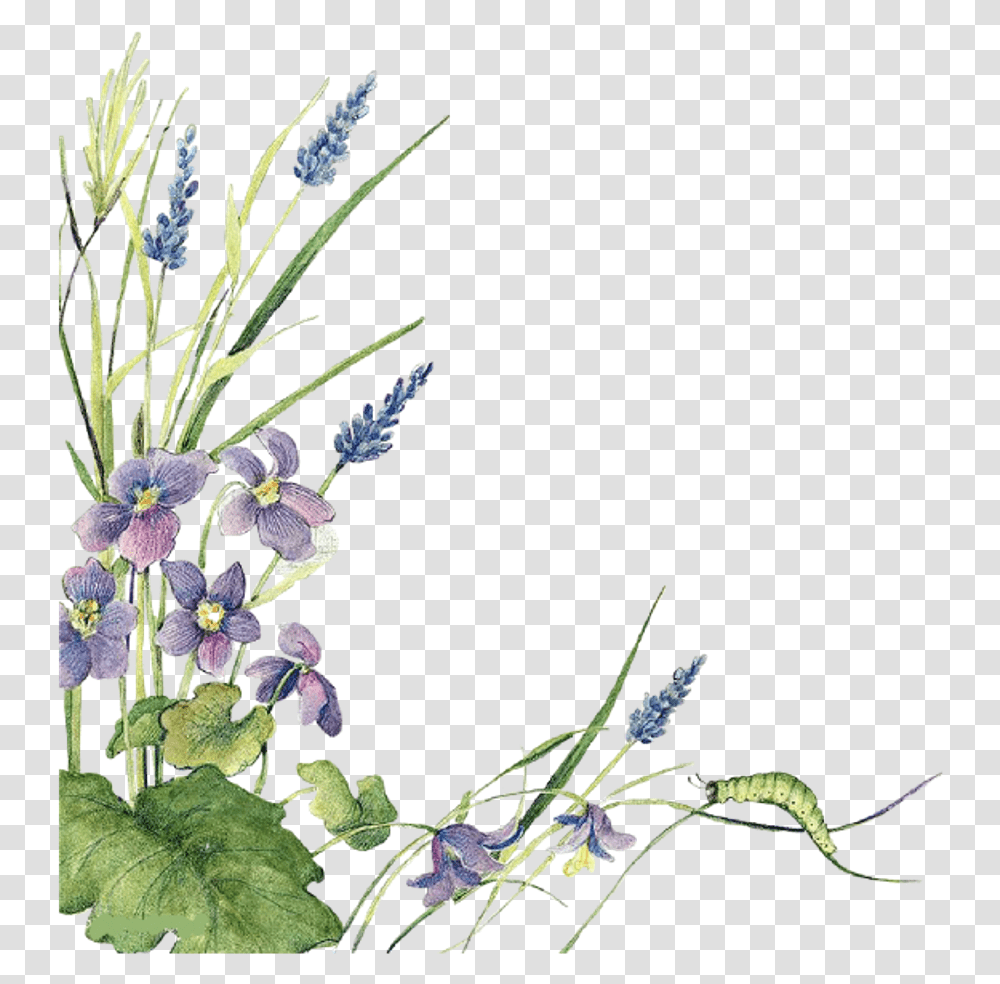 Ftestickers Watercolor Flowers Border Lavender Border Lavender Plant, Potted Plant, Vase, Jar, Pottery Transparent Png