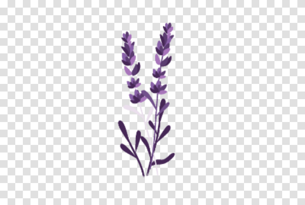 Ftestickers Watercolor Flowers Leaves Purple, Plant, Blossom, Lavender, Lupin Transparent Png