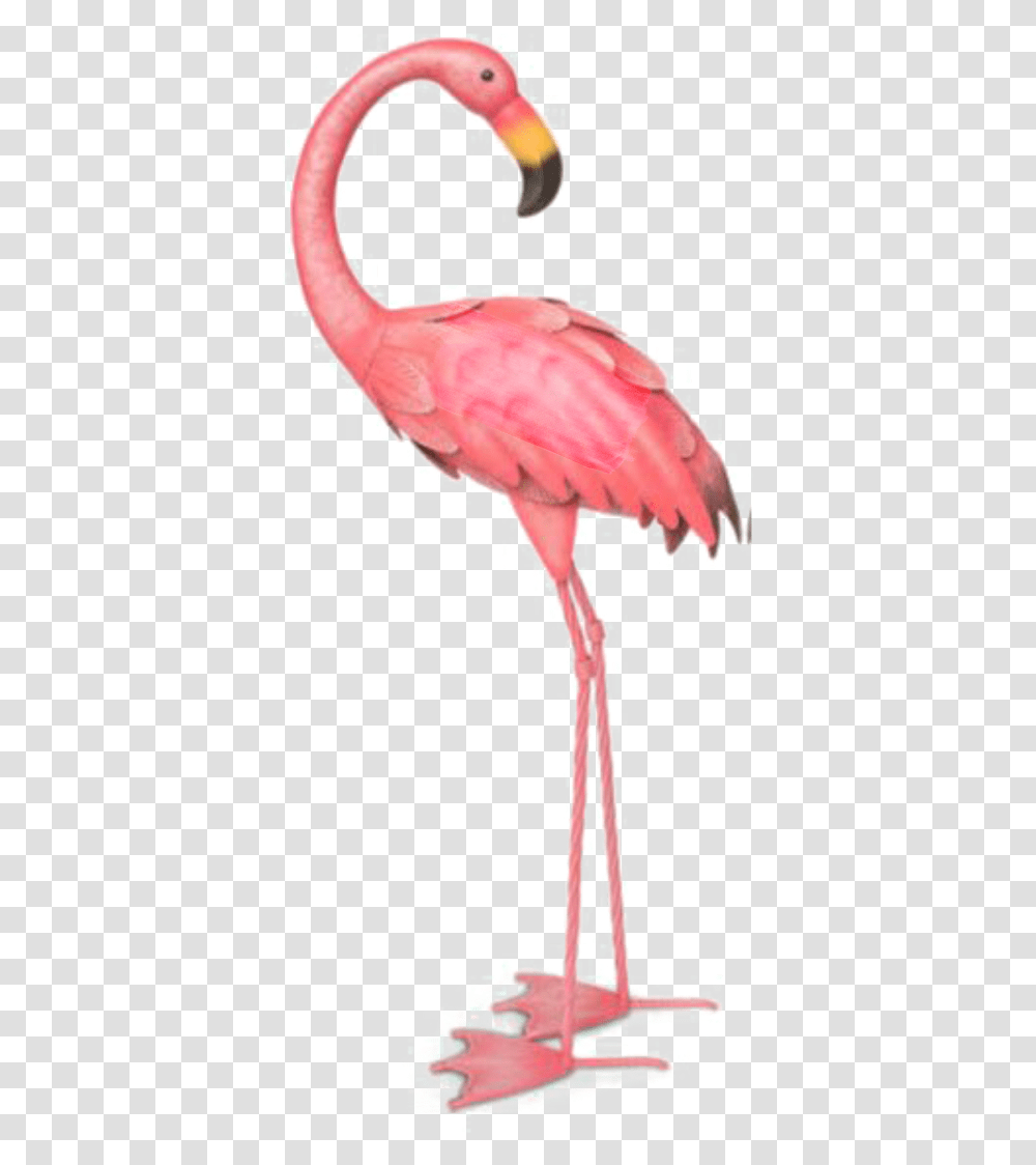 Ftestickers Watercolor Illustration Flamingo Pinkflamingo Flamingo Background, Bird Transparent Png