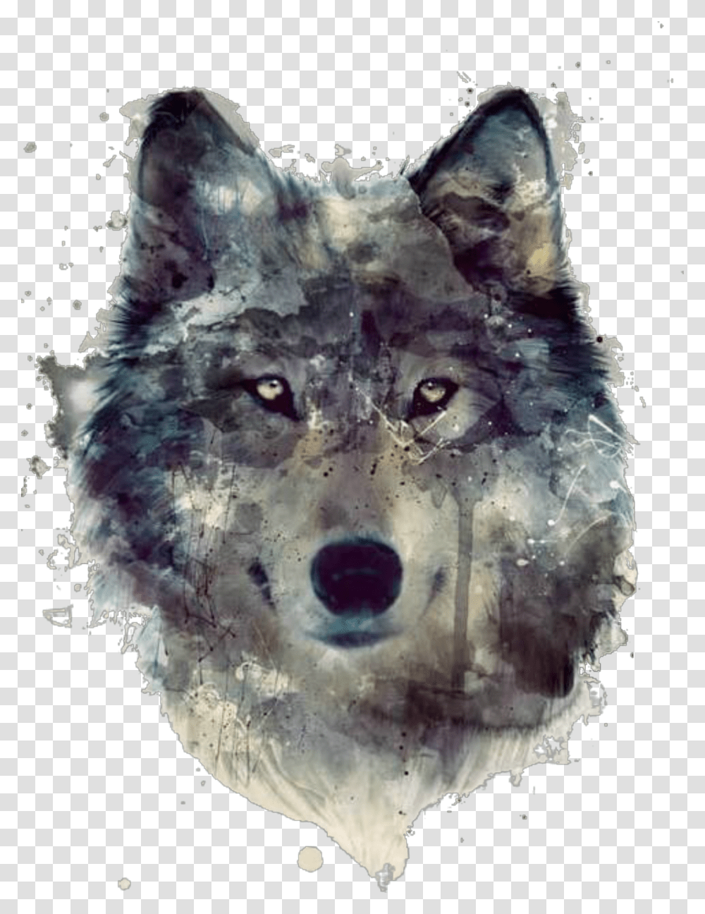 Ftestickers Watercolor Illustration Wolf Wolf Painting, Mammal, Animal, Snowman, Winter Transparent Png
