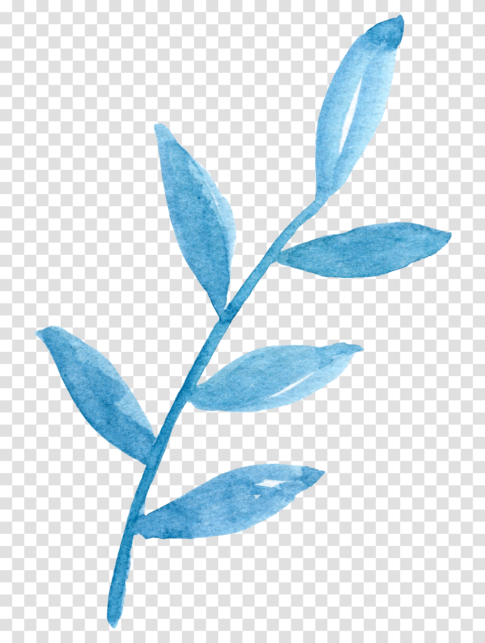 Ftestickers Watercolor Leaves Stem Teal Blue Watercolor Blue Leaf, Plant, Acanthaceae, Flower, Blossom Transparent Png