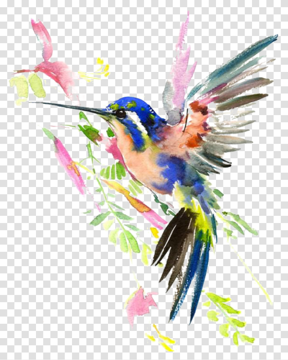 Ftestickers Watercolor Nature Hummingbird Painted Birds, Bee Eater, Animal, Bluebird, Jay Transparent Png