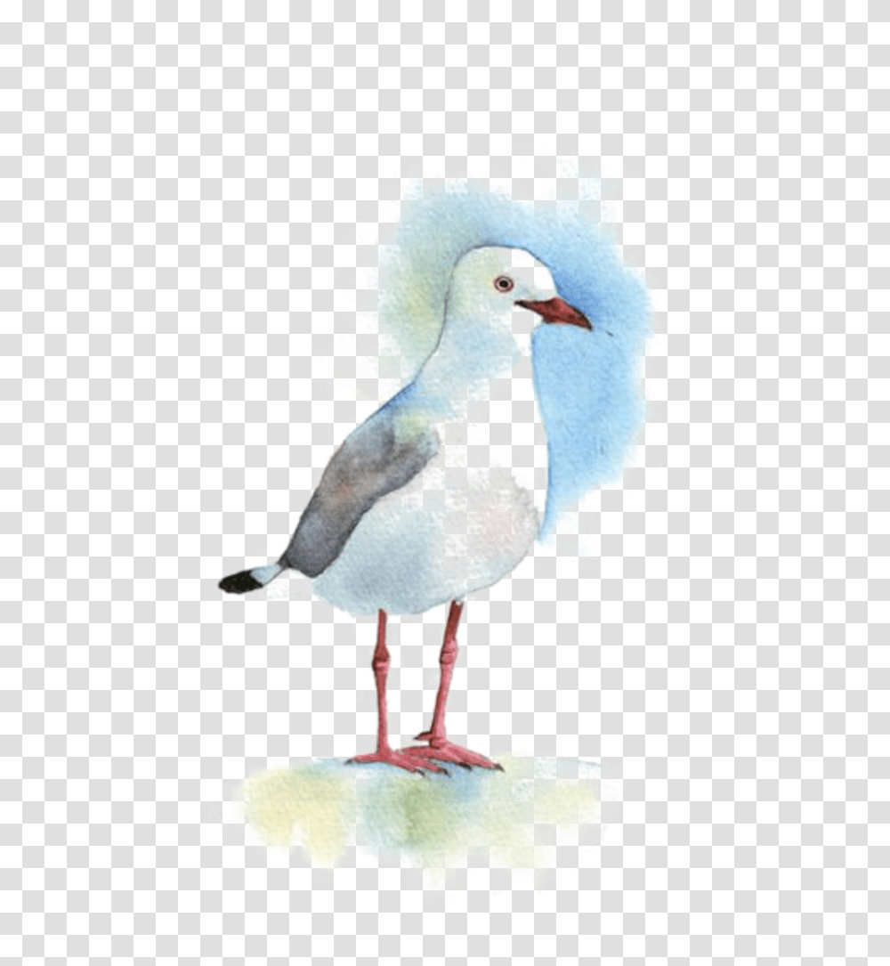 Ftestickers Watercolor Painting Bird Seagull Water Bird, Animal, Dove, Pigeon, Beak Transparent Png