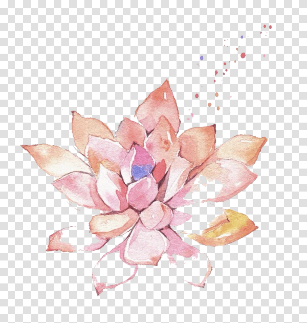 Ftestickers Watercolor Painting Flower Succulent Pink Succulent Flower Watercolor, Plant, Petal, Floral Design, Pattern Transparent Png